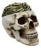 Ebros Day of The Dead War Ammo Bullet Casings Grinning Skull Decorative Stash Box