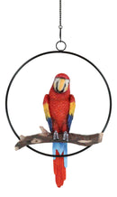 Ebros Hanging Scarlet Macaw Parrot Perching on Branch in Metal Round Ring Figurine 13.5" H