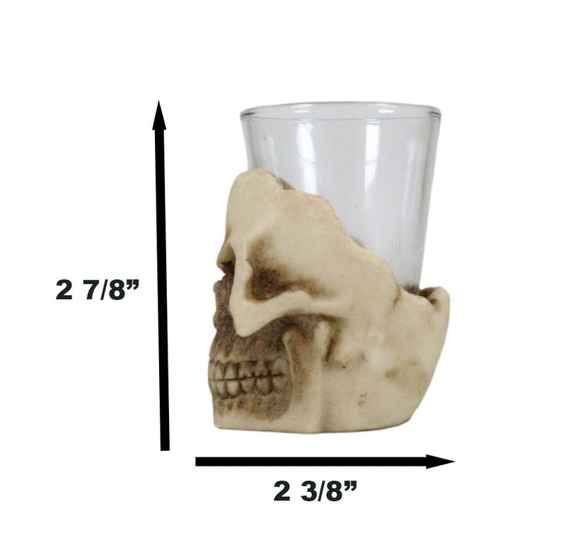Ebros Grinning Skull Shot Glass Set of 6 Altar of Skulls Skeleton Ossuary Skull