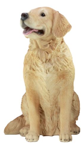 Ebros Lifelike Realistic Buddy Golden Retriever Statue 20.5" Tall Fine Pedigree Dog Breed Collectible Decor with Glass Eyes