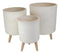 Set of 3 Contemporary White Fiber Clay Cylindrical Planter Pots With Wooden Feet