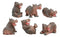 Ebros Whimsical Baby Hippo Set of 6 River Hippopotamus Small Figurines 3"H