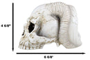 Gothic Angel Of Hades Ram Horned Skull With Nude Winged Redemption Figurine
