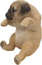 Ebros Pot Pal Hanging Pug Puppy Pooch Dog Statue 6.5" Tall with Glass Eyes