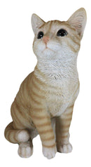 Lifelike Sitting Orange Tabby Cat Statue 12"Tall With Glass Eyes Animal Decor