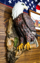 Large Mountain Grand Bald Eagle Perching On Tree Branch Wall Decor Plaque 17.5"H