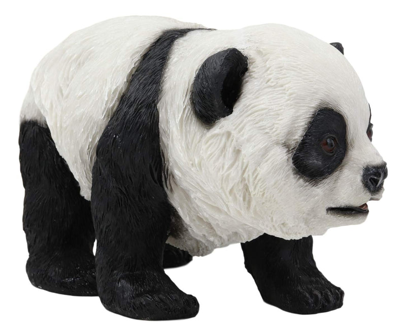 Ebros Realistic Lifelike Adorable China Asian Baby Giant Panda Bear Statue 9" Long with Glass Eyes Hand Painted Eastern Bamboo Mountain Pandas Bears Decor Figurine