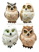 Colorful Great Horned Forest Snowy & Northern Pygmy Owl Chicks Figurine Set Of 4