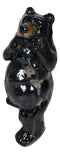 Rustic Western Woodlands Forest Black Bear South Paw Boxing Decorative Figurine