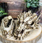 Ebros 9" L Grinning Fossil Bone Skeleton Dragon Skull 'Stryker' Decorative Box
