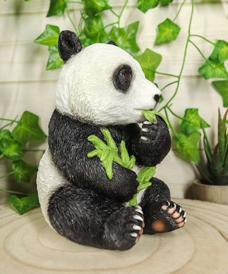 Ebros China Giant Panda Bear Cub Baby Eating Bamboo Statue 6.5" H Figurine