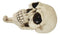 Pack Of 2 Macabre Halloween Grinning Evil Skull Head Bone Wall Coat Hook Plaque