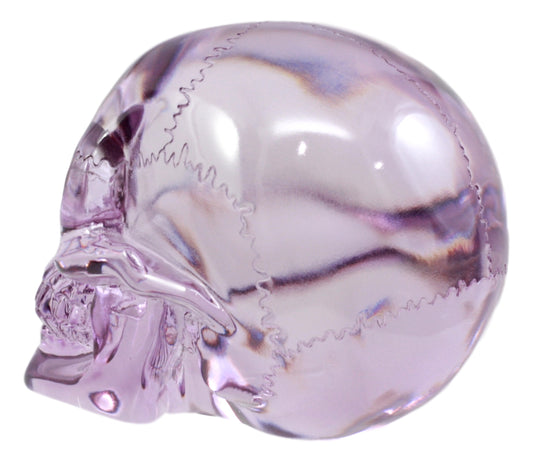 Ebros Pirate Cave Tomb Treasure Purple Translucent Skull Figurine Decorative Statue Acrylic Resin - Ebros Gift