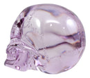 Ebros Pirate Cave Tomb Treasure Purple Translucent Skull Figurine Decorative Statue Acrylic Resin