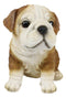Ebros Lifelike Sitting Adorable Bulldog Puppy Dog Figurine 5"H Pet Pal Puppies
