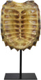 Ebros Large Nautical Reptile Alligator Snapping Turtle Shell Sculpture On Museum Stand