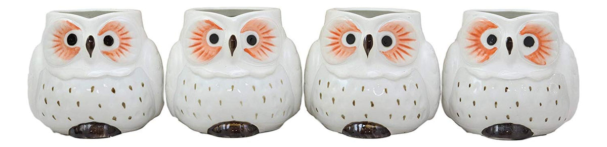 Ebros Gift Whimsical Tundra Forest Big Eyed White Snow Owl Ceramic 11oz Drinking Mugs Set of 4 As Kitchen Dining Home Decor Of Owls Owlet Nocturnal Bird Novelty Mug Cups For Coffee Tea Milk Beverage