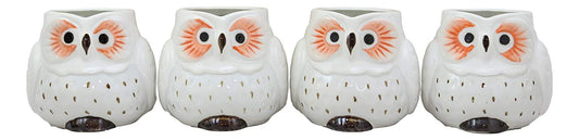 Ebros Gift Whimsical Tundra Forest Big Eyed White Snow Owl Ceramic 11oz Drinking Mugs Set of 4 As Kitchen Dining Home Decor Of Owls Owlet Nocturnal Bird Novelty Mug Cups For Coffee Tea Milk Beverage