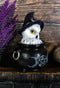 White Snowy Owl With Witch Hat In Black Triple Moon Pentagram Cauldron Figurine