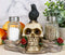 Ebros Day Of The Dead Raven Crow W/ Rose Skull Salt & Pepper Shakers Holder Set