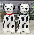 Black And White Spotted Dalmatian Dogs Puppies Magnetic Salt Pepper Shakers Set