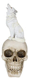 Gothic Full Moon Howling White Wolf Sitting On Graveyard Macabre Skull Figurine