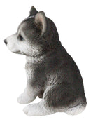 Ebros Lifelike Siberian Husky Sled Dog Puppy Sitting Figurine 6.75"H Animal Pet