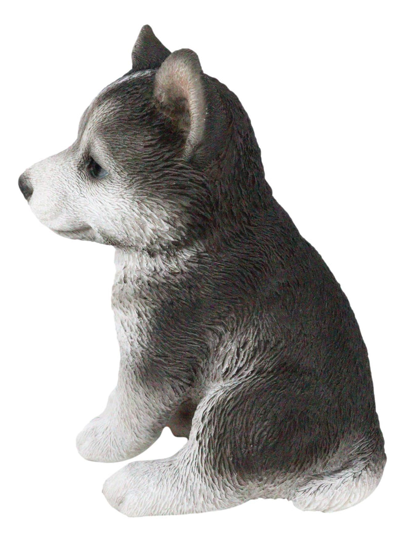 Ebros Lifelike Siberian Husky Sled Dog Puppy Sitting Figurine 6.75"H Animal Pet