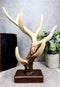 Ebros Rustic Buck Deer Antler Jewelry Accessories Holder Hook Stand 10.25"H