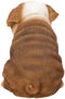 Ebros 5"H Realistic Animal Bulldog Puppy Collectible Home Decor Figurine