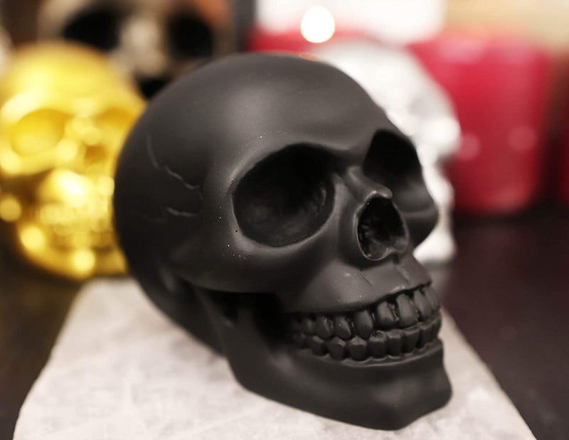 Ebros Pirate's Loot Graveyard Human Skull Statue 3.75"L (Midnight Ghost Black)