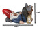 Whimsical Holiday Tipsy Drunk Garden Gnome Sleeping Near Squirrel Wine Holder