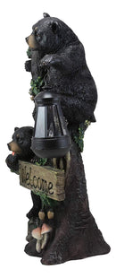 Ebros Climbing Black Bear Cubs Garden Light Welcome Statue Figurine Solar LED Lantern