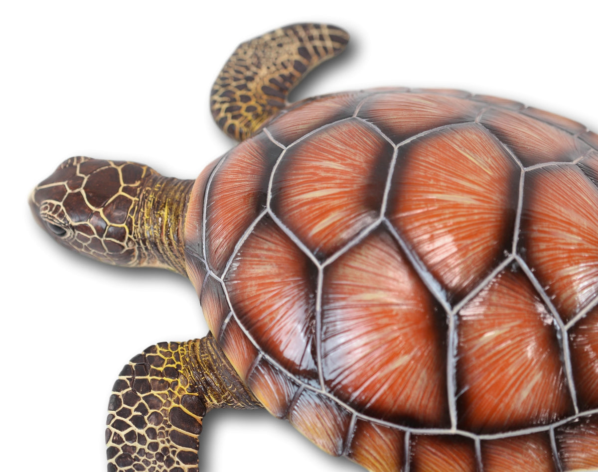 Large 18"W Coastal Marine Brown Giant Sea Turtle Swimming 3D Wall Plaque Decor