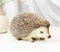 Lifelike Realistic Spinal Mammal Animal Baby Hedgehog Collectible Figurine 6"L