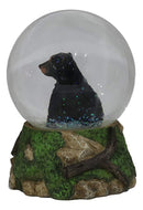 Ebros Rustic Woodlands American Sitting Ursus Black Bear Glitter Water Globe Decor