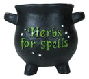 Green Thumb Gardening Black Witchcraft Herbs For Spells Cauldron Planter Pot 5"D