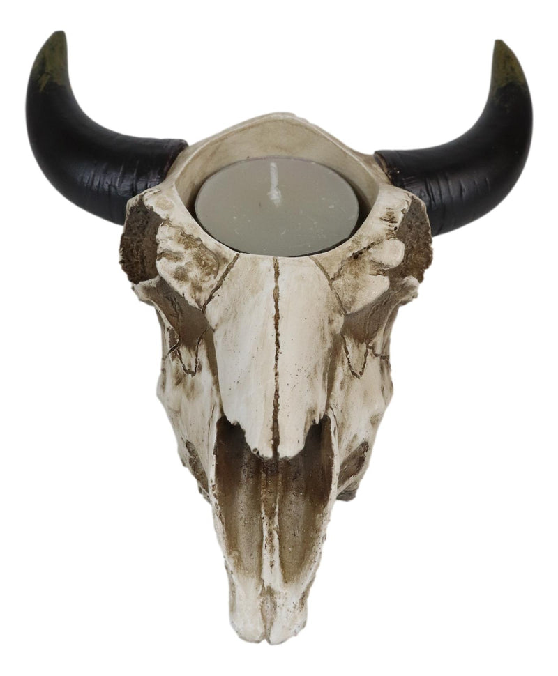 Western Steer Cow Skull Decorative Tea Light Votive Candle Holder Figurine