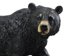 Large Realistic Strolling Black Bear Statue 16.5"L Rustic Cabin Decor Figurine
