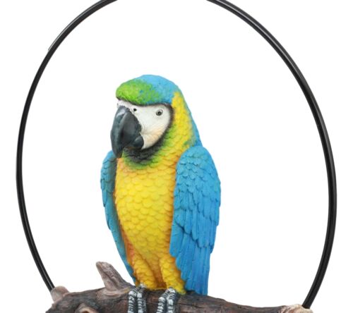 Ebros Hanging Blue And Gold Macaw Perching on Branch in Metal Round Ring 13.5"H