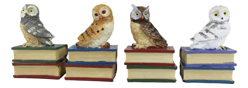 Wisdom Of The Forest Bibliography Owls Sitting On Books Figurine Owl Set Decors