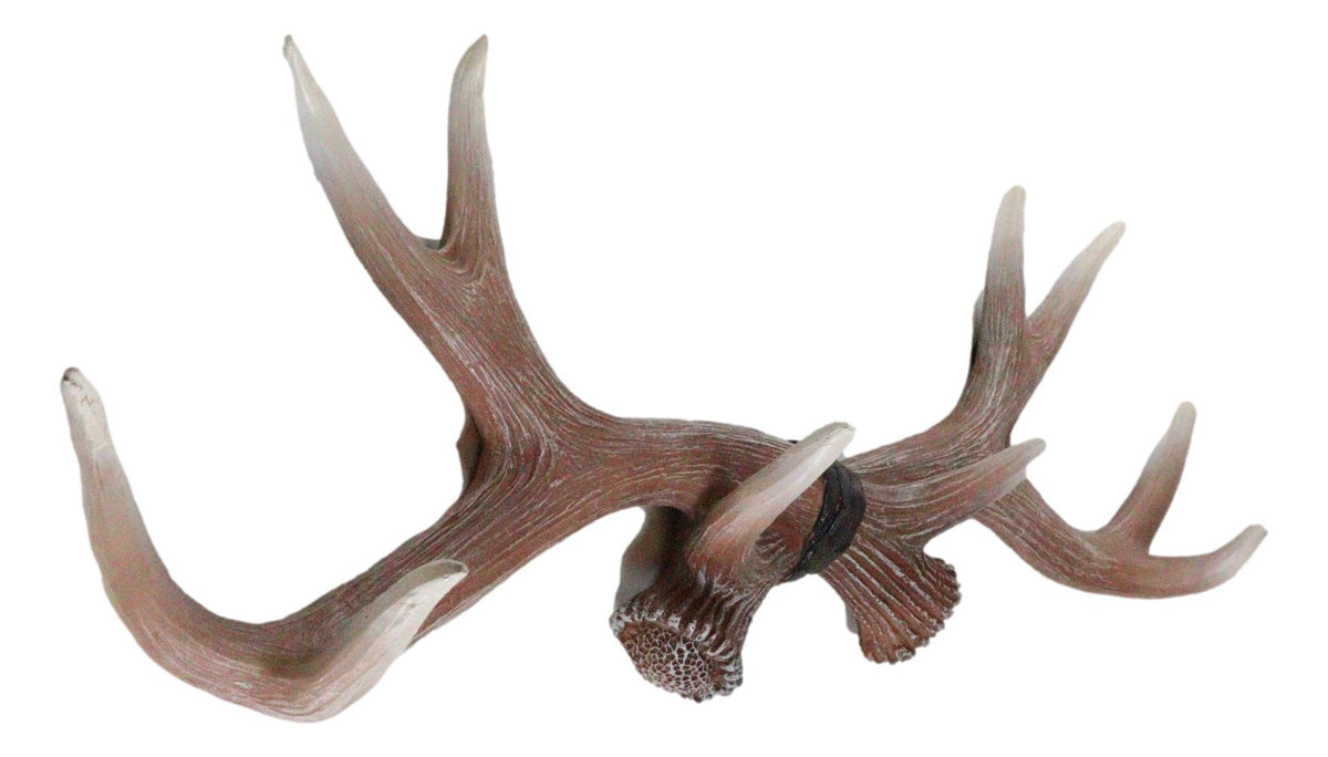 Ebros White Rustic 10 Point Stag Deer Antlers Rack Wall Plaque 17"W Coat Hooks