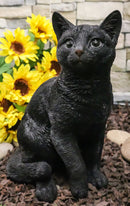 Ebros Large Lifelike Pawing Mystical Black Cat Statue 11.75"H with Glass Eyes