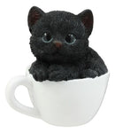Ebros Lifelike Witching Hour Black Cat Teacup Pet Pal Statue 3" Tall with Glass Eyes Decor Figurine