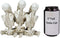 Ebros See Hear Speak No Evil Gossiping Sisters Female Lady Skeletons Statue 6"H