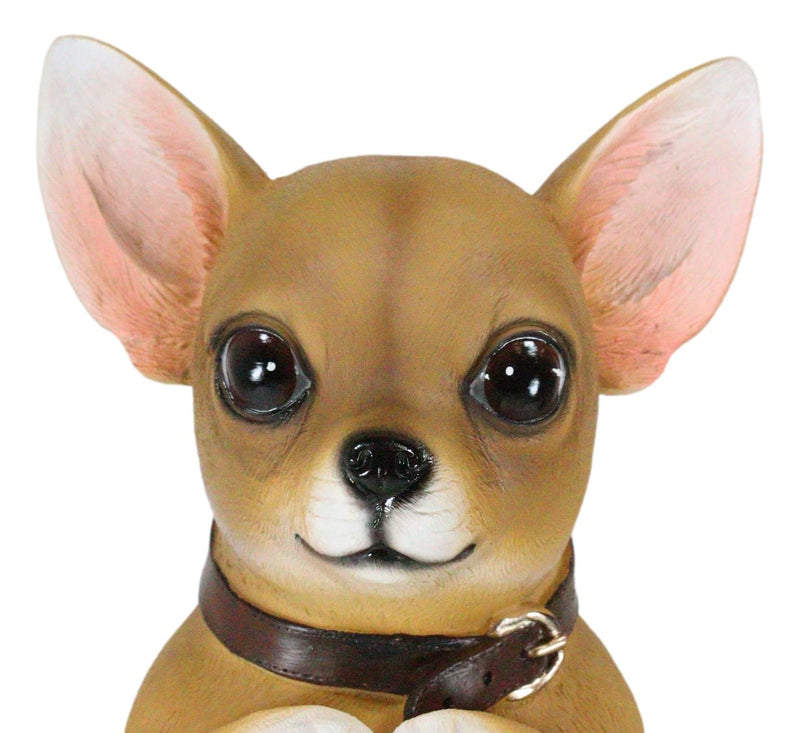 Ebros Gift Chihuahua Dog On Two Legs Statue with Solar LED Lantern Lamp 14" Tall