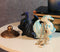 Ebros Gift Night And Day Contrasting Dual Dragons Decorative Trinket Jewelry Box