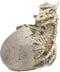 Ebros 5.5" Tall Skeleton Bone Wyrmling Dragon Hatchling From Egg Statue Figurine - Ebros Gift