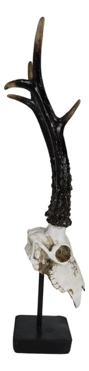 Large 19"H Rustic African Gazelle Antelope Bust Head Sculpture With Trophy Base