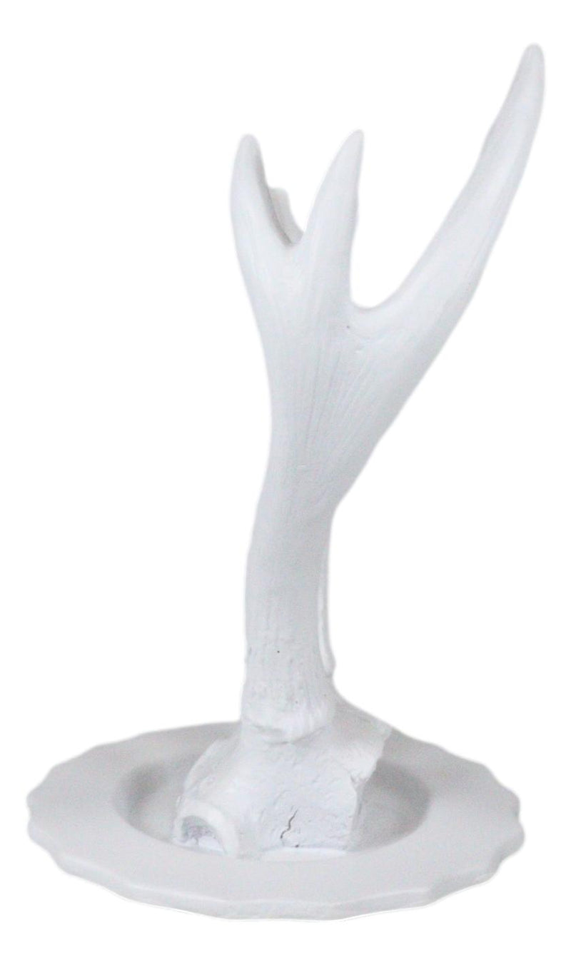 Contemporary Chic Rustic White Double Buck Deer Stag Antlers Jewelry Tree Holder